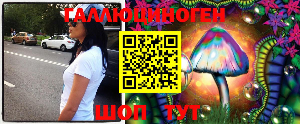 купить наркоту  Псилоцибиновые грибы Magic Shrooms  Вход с VPN  Пугачёв 