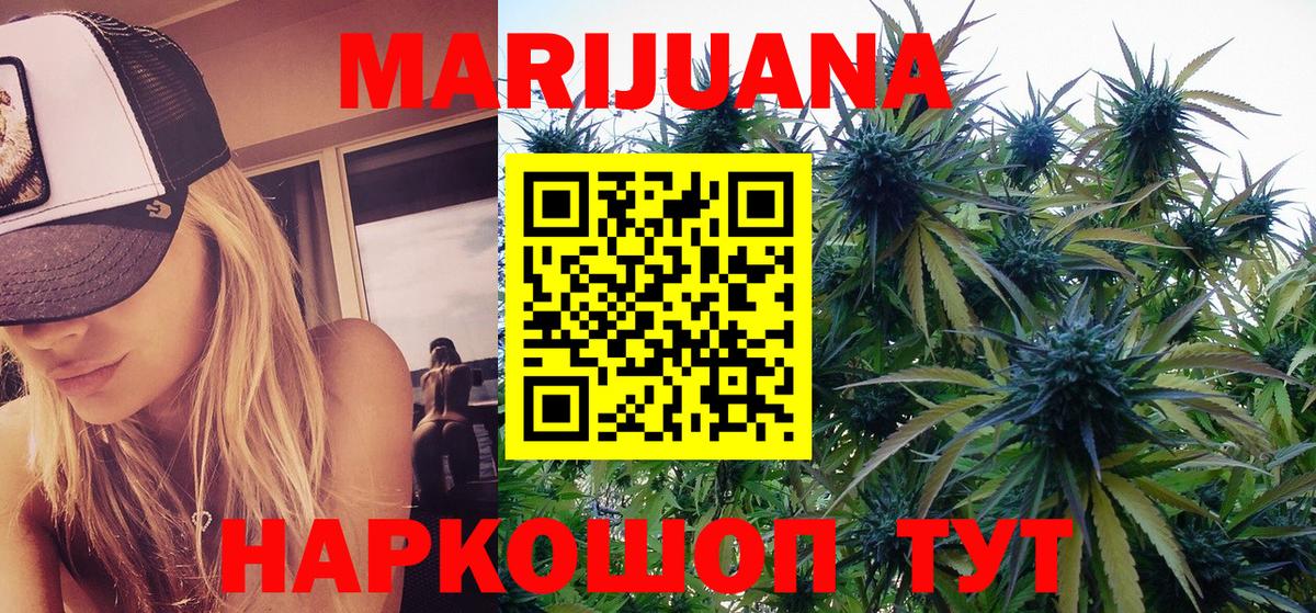 Конопля план  МАРИХУАНА конопля  Пугачёв  Вход с VPN  Канабис MAZAR 